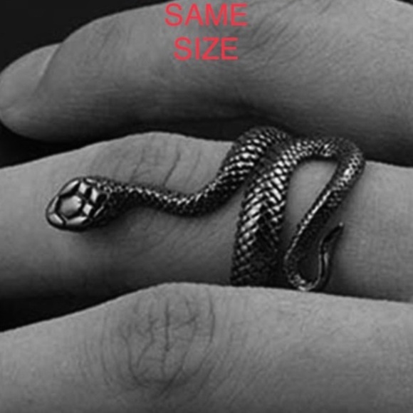 Adjustable Open Style Black Snake Ring - Picture 3 of 6